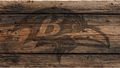 A dark brown graphic of a raven head with a stylized letter B on its wing, printed over a rustic horizontal wood plank background.