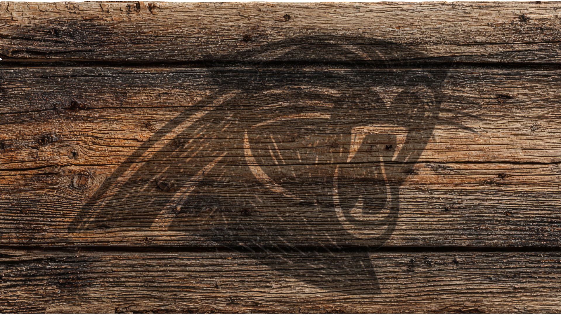 A dark brown graphic of a roaring animal head, resembling a wolf or wild cat, overlaid on a rustic horizontal wooden plank background.