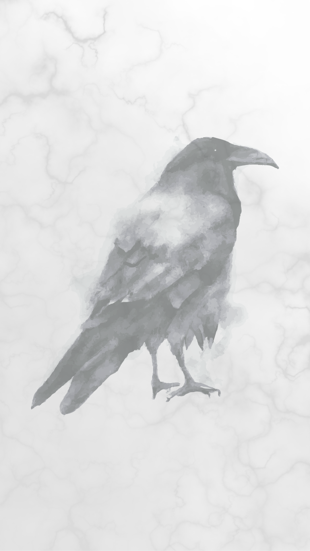 "Nevermore." — Edgar Allan Poe Raven Phone Wallpaper