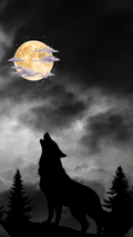 A black silhouette of a howling wolf standing among pine trees beneath a large glowing full moon and cloudy night sky.